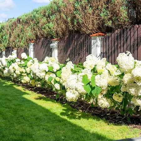 Wsrod Zieleni Homestay szállás *